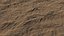 Realistic Sand Ground Surface