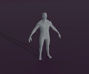 Male Body Base Mesh Animated and Rigged