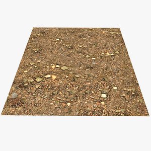3D model River Bottom Texture