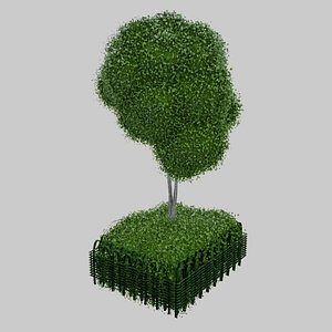 City Bush