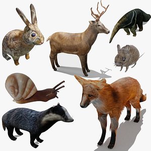 Forest animals OBJ and BLEND