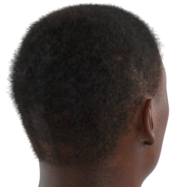 3d model african american male head