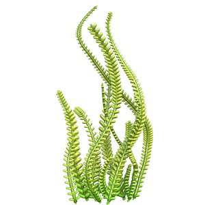 3D seaweed 9 model