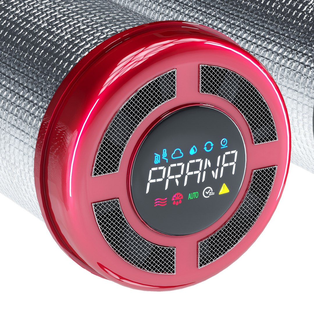 3D prana https://p.turbosquid.com/ts-thumb/Xl/g3RibG/RX/z0qs_50000/jpg/1713524014/1920x1080/fit_q87/bcdc885eb99351eaf3ae9818b82d722f082f0412/z0qs_50000.jpg