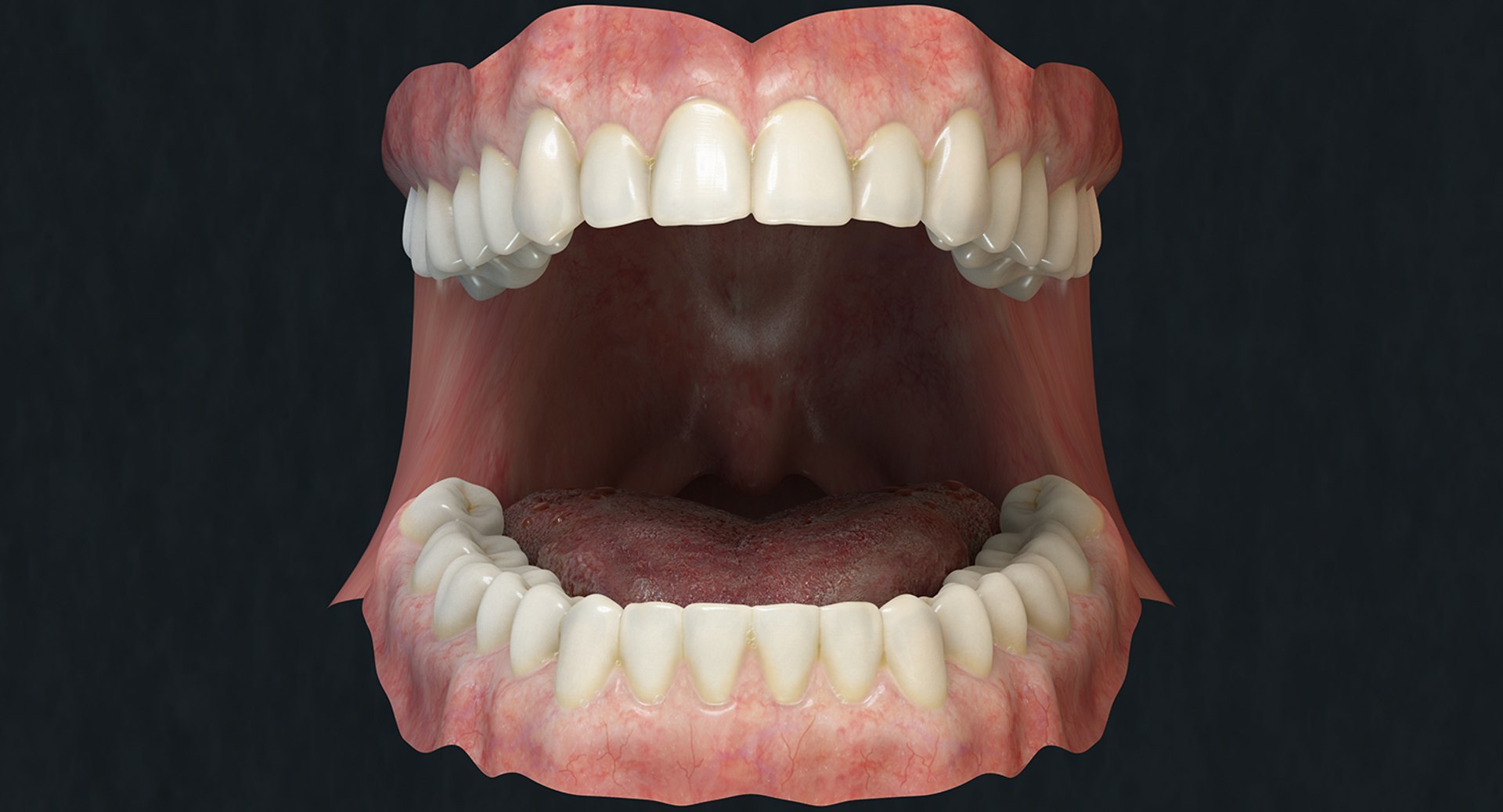 rose female rigged body woman max https://p.turbosquid.com/ts-thumb/Xl/gQbnEx/46joga5w/dentures/jpg/1429307273/1920x1080/fit_q87/599c9eeb2a7e9ad39fdcb2093e703d5ea7c0ab15/dentures.jpg