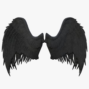 3D model wings