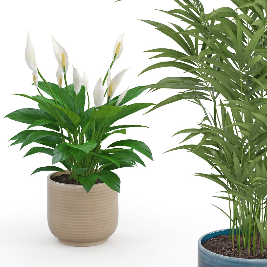 Houseplant 56 3D - TurboSquid 1720149