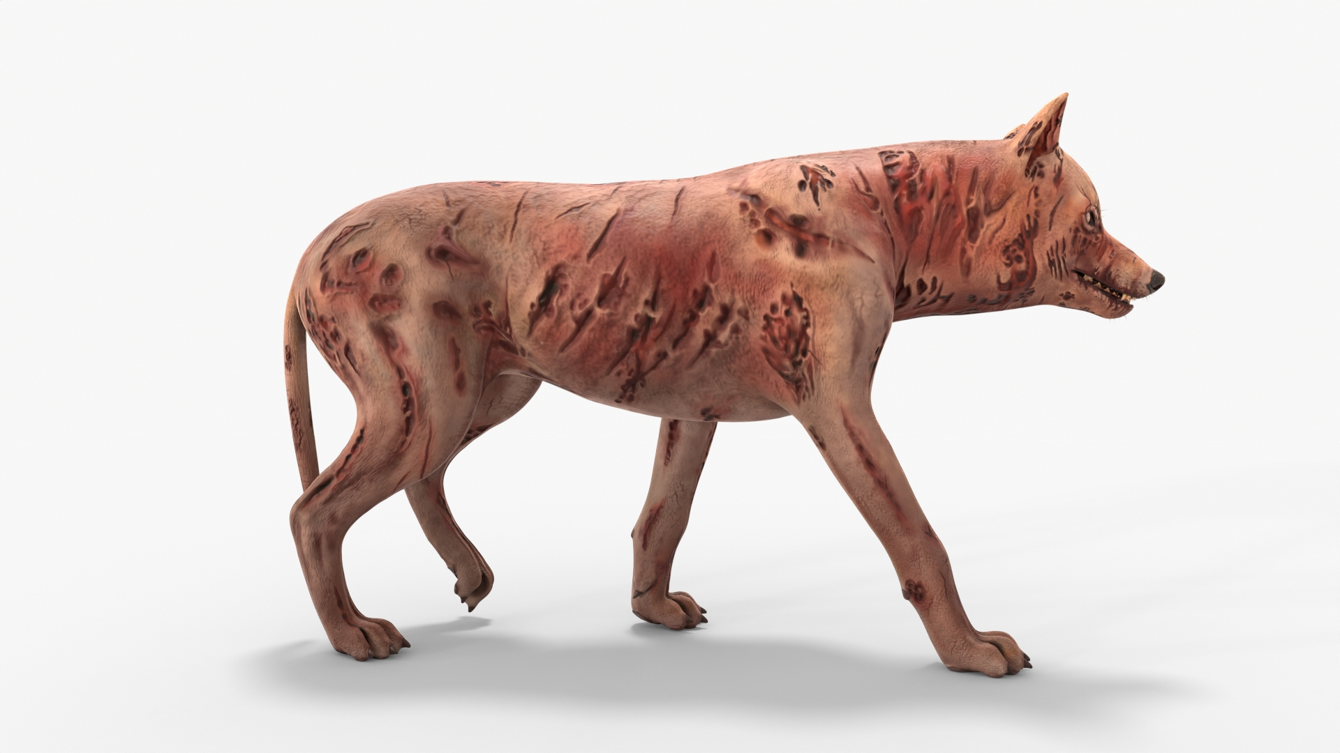 Zombie Dog Rigged 3D model https://p.turbosquid.com/ts-thumb/Xl/vqpwcn/1G/img/jpg/1699308358/1920x1080/turn_fit_q99/20da056a9161003db04ad1689ce4c7daa6f19735/img-1.jpg
