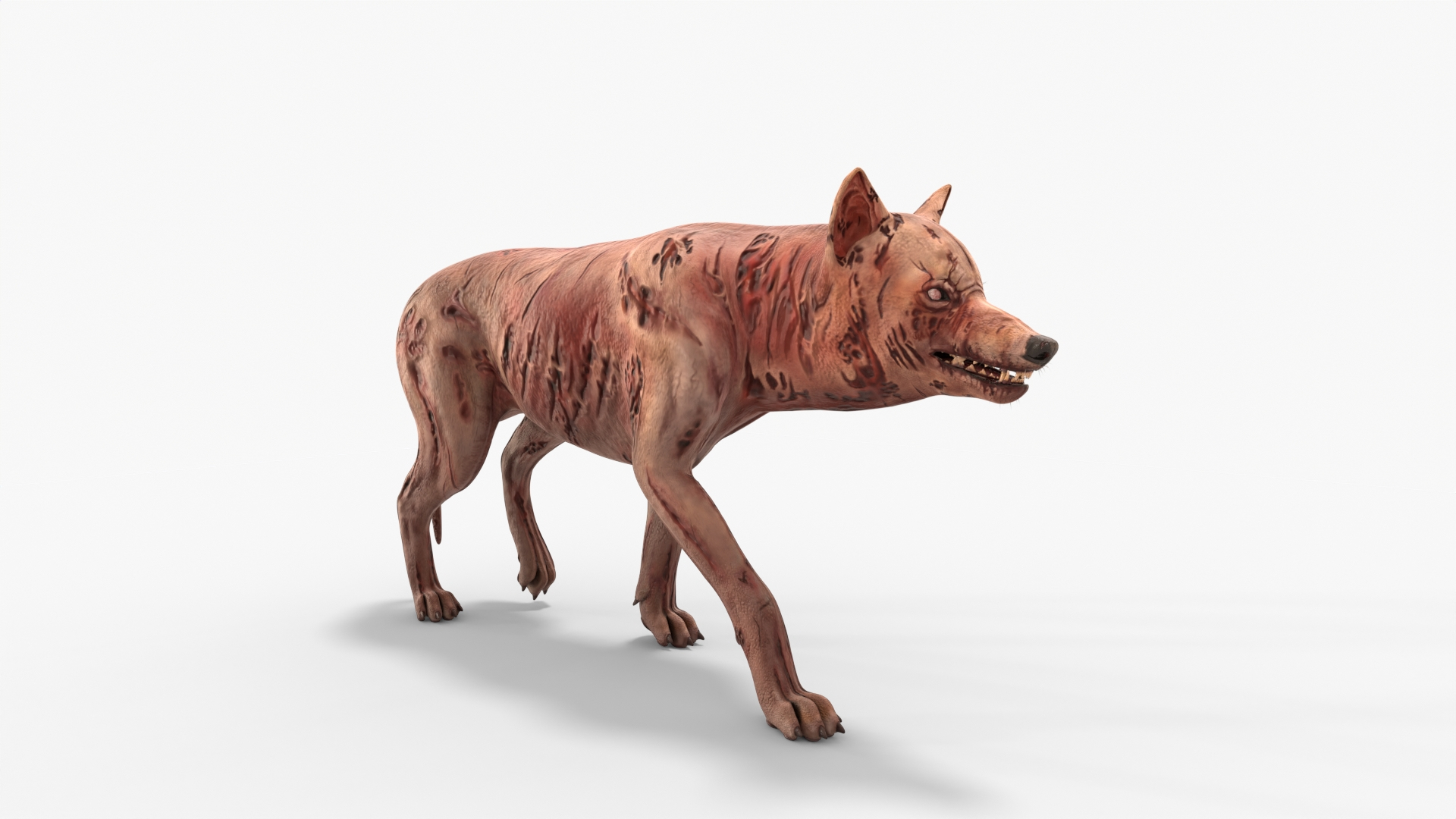 Zombie Dog Rigged 3D model https://p.turbosquid.com/ts-thumb/Xl/vqpwcn/24/img/jpg/1699308649/1920x1080/turn_fit_q99/9528491b894854fb301d2438258f39c8eaebc1c0/img-1.jpg