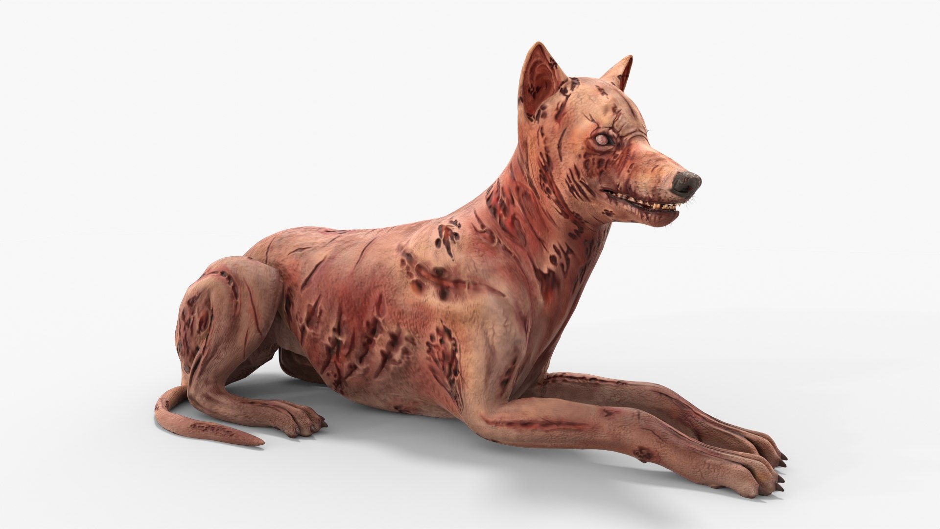 Zombie Dog Rigged 3D model https://p.turbosquid.com/ts-thumb/Xl/vqpwcn/Bx/img_3/jpg/1699308031/1920x1080/fit_q87/fac7cd91b501f1b0b4d1d78daa47273b16f61308/img_3.jpg