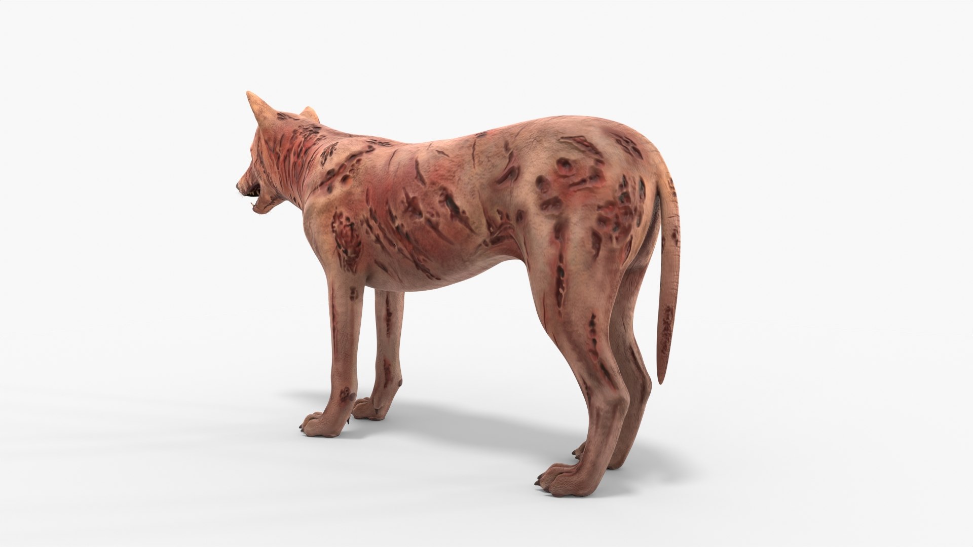Zombie Dog Rigged 3D model https://p.turbosquid.com/ts-thumb/Xl/vqpwcn/F1/img_6/jpg/1699308032/1920x1080/fit_q87/3e16030cc616c57cc3e1348caa8b8611b12e737e/img_6.jpg
