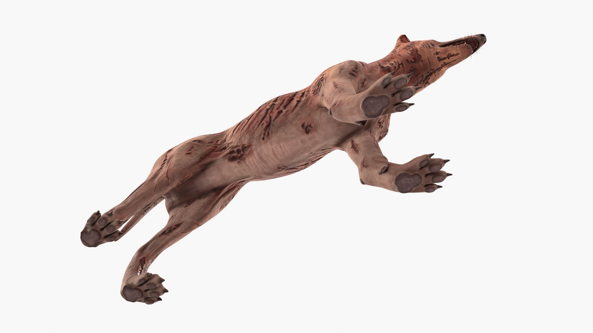 Zombie Dog Rigged 3D model https://p.turbosquid.com/ts-thumb/Xl/vqpwcn/Yy/img_10/jpg/1699308035/1920x1080/fit_q87/d23a19a6f2cbc82802ef7a3b40791b62d74abe9d/img_10.jpg