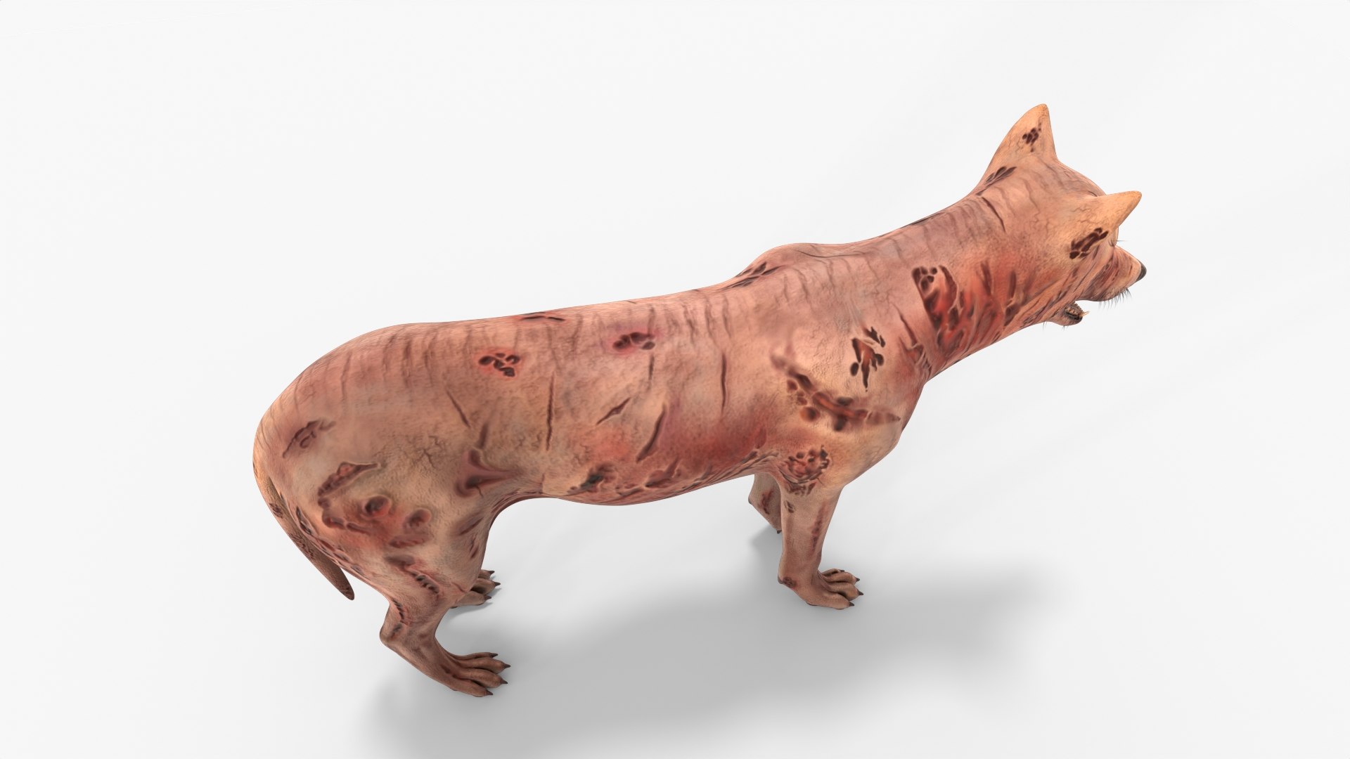 Zombie Dog Rigged 3D model https://p.turbosquid.com/ts-thumb/Xl/vqpwcn/el/img_11/jpg/1699308038/1920x1080/fit_q87/236ce74d448ee429d5a620c29b5a8f246bfb0852/img_11.jpg
