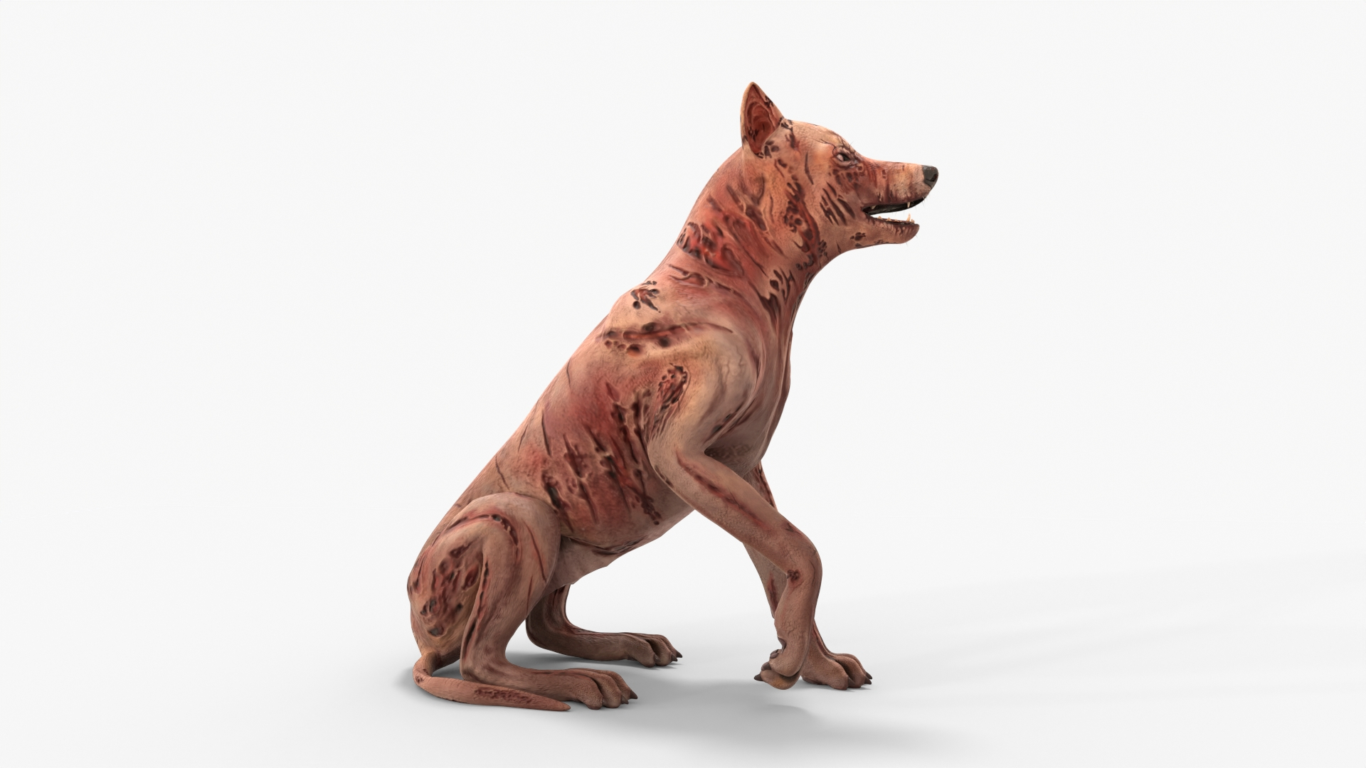 Zombie Dog Rigged 3D model https://p.turbosquid.com/ts-thumb/Xl/vqpwcn/fC/img/jpg/1699309163/1920x1080/turn_fit_q99/a620811688402cac7f34a4089e759677fb8780c7/img-1.jpg