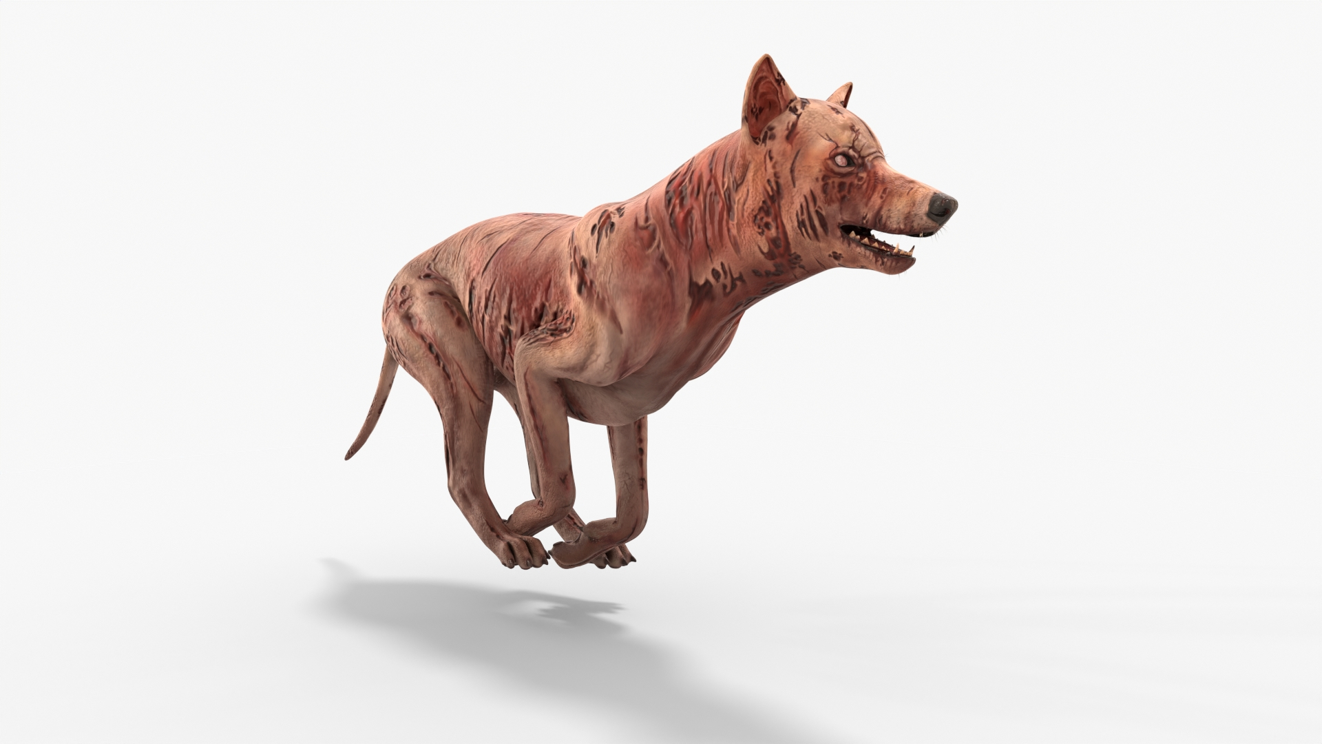 Zombie Dog Rigged 3D model https://p.turbosquid.com/ts-thumb/Xl/vqpwcn/lh/img/jpg/1699308585/1920x1080/turn_fit_q99/b4cffdfc31ac542f3da74ab8739a81a69ac7b181/img-1.jpg