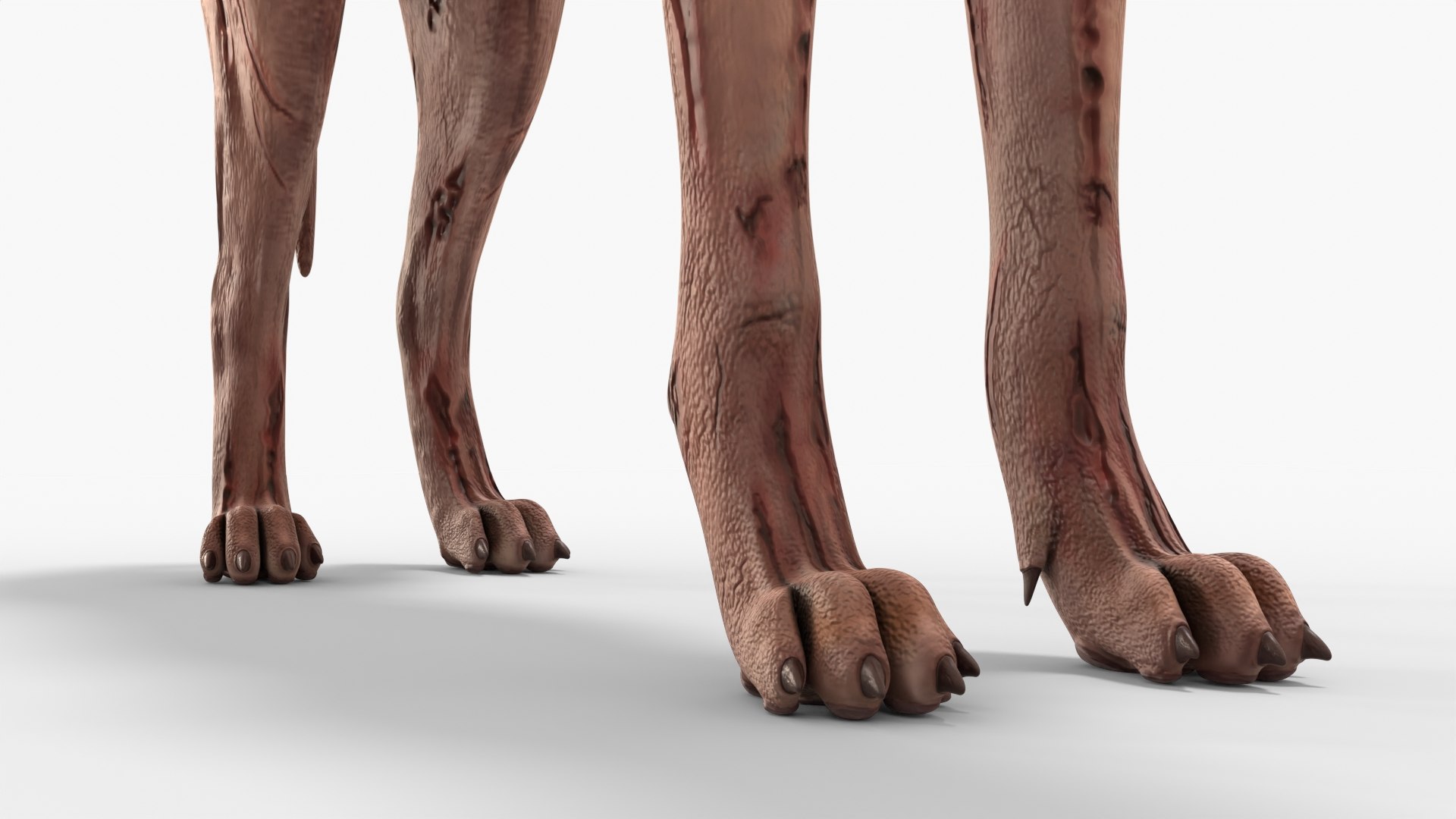 Zombie Dog Rigged 3D model https://p.turbosquid.com/ts-thumb/Xl/vqpwcn/mh/img_12/jpg/1699308037/1920x1080/fit_q87/f7730beef9072287430b6b16b83e93ee1ea340a9/img_12.jpg
