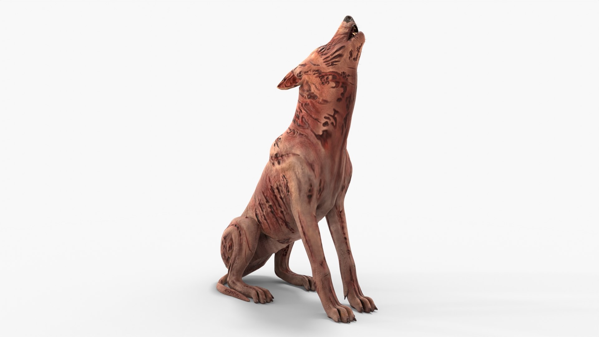 Zombie Dog Rigged 3D model https://p.turbosquid.com/ts-thumb/Xl/vqpwcn/us/img_4/jpg/1699308031/1920x1080/fit_q87/dfd94cae91fe0c10ee72310bdb2462f22bae3fca/img_4.jpg