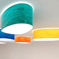 LZF Ceiling Wall Lamp