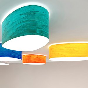 LZF Ceiling Wall Lamp