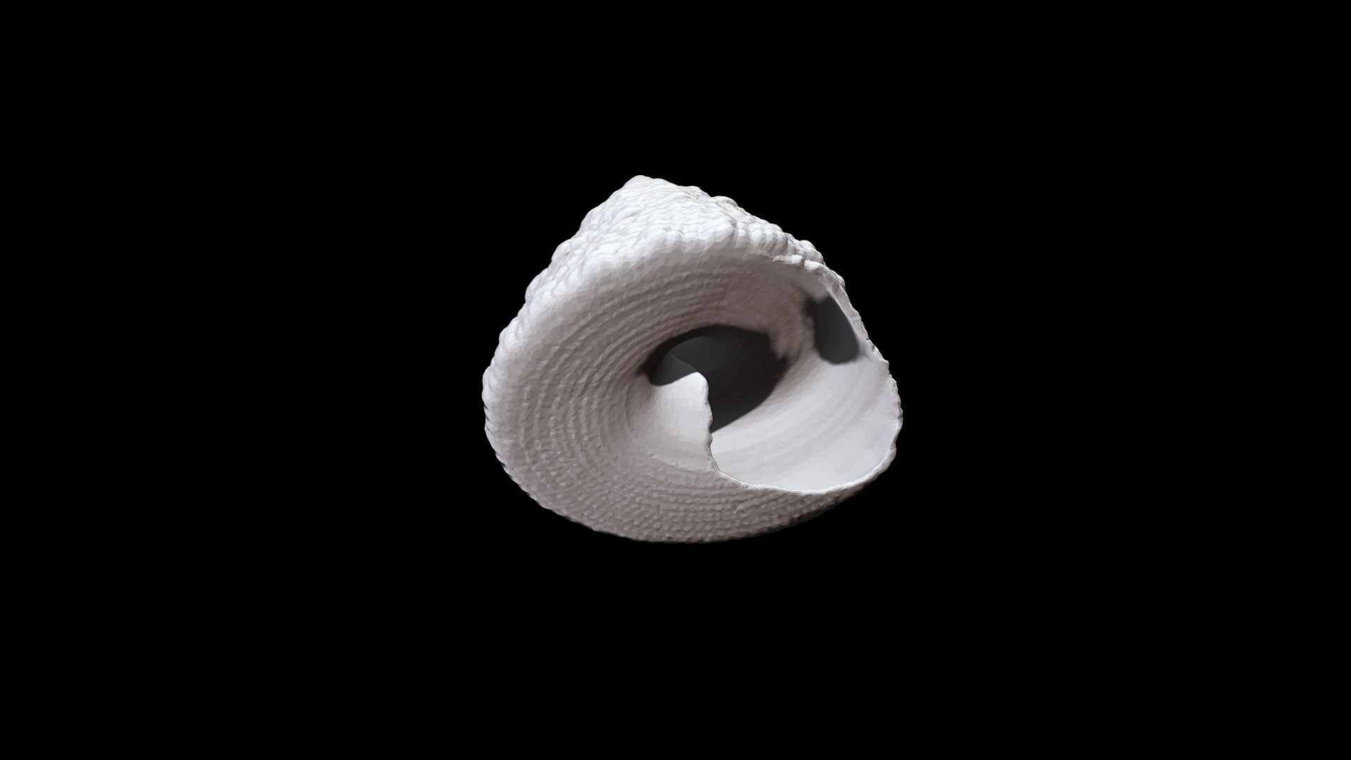 3D Seashell002 https://p.turbosquid.com/ts-thumb/Xm/2GrvAw/an/2/png/1629857113/1920x1080/fit_q87/92551cbd3e1ce7a76834dacd22e2f28eaf0bcc7a/2.jpg
