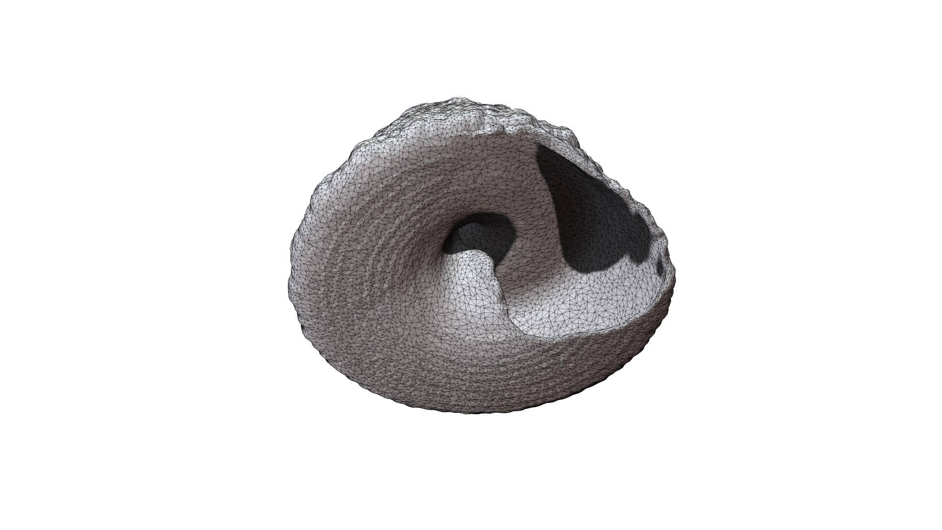 3D Seashell002 https://p.turbosquid.com/ts-thumb/Xm/2GrvAw/cZ/6/png/1629857113/1920x1080/fit_q87/4688e837fd3b97425aaeba057667a983e1ff72d3/6.jpg