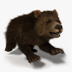 bear rigged - 3d model