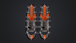 SnowShoes 3D model