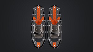 Snow Shoes