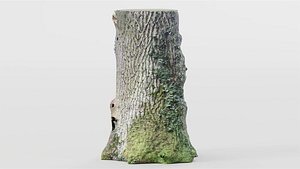 Photoscan Tree