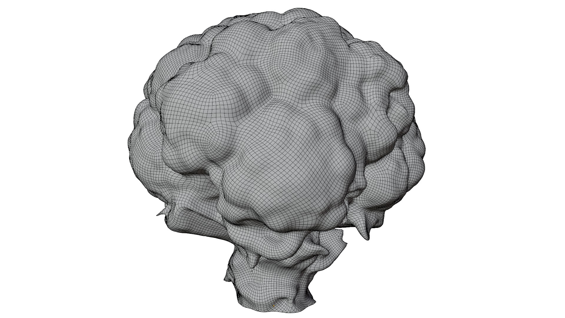 3D Cauliflower Model - TurboSquid 2224591