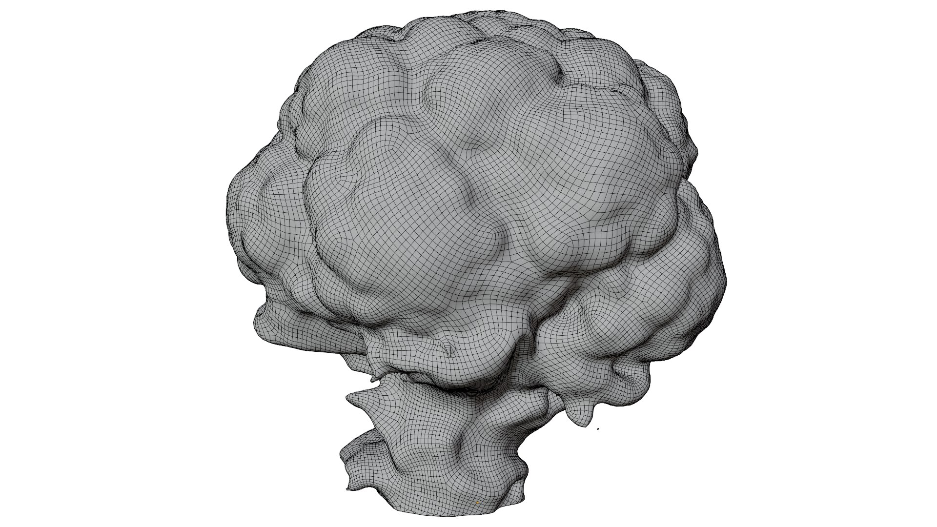 3D Cauliflower Model - TurboSquid 2224591