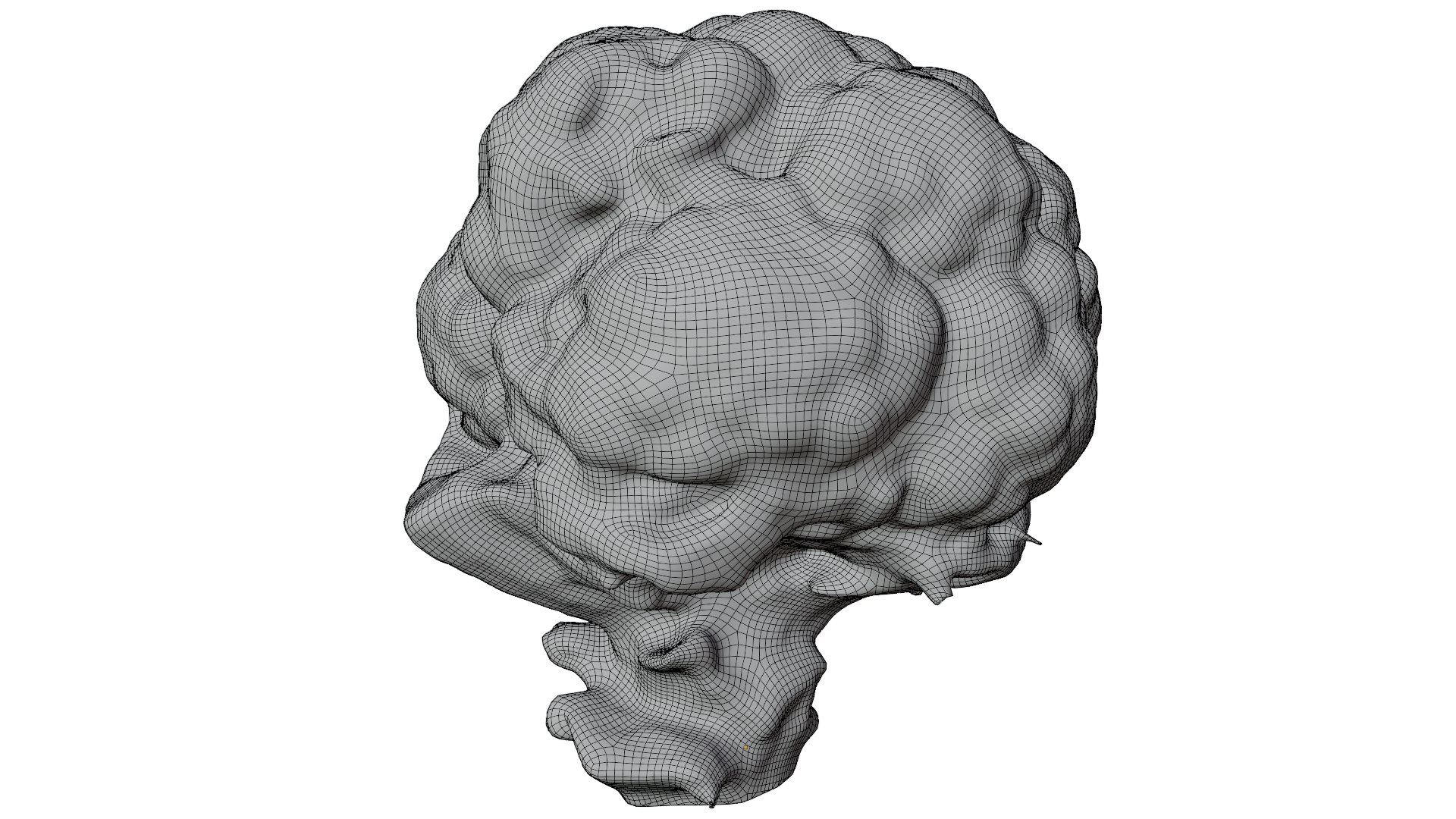 3D Cauliflower Model - TurboSquid 2224591