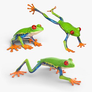 Red Eyed Tree Frog Animated Rigged for Blender Collection 3D model