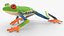 Red Eyed Tree Frog Animated Rigged for Blender Collection