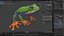 Red Eyed Tree Frog Animated Rigged for Blender Collection