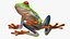 Red Eyed Tree Frog Animated Rigged for Blender Collection