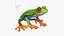 Red Eyed Tree Frog Animated Rigged for Blender Collection