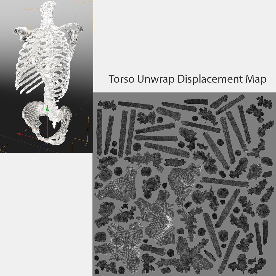hu spine 3d max https://p.turbosquid.com/ts-thumb/Xm/hcKnRb/58MN3cIA/22/jpg/1370612777/1920x1080/fit_q87/47d40ab96ba6c9a2c206387cef9d14c2b42f9887/22.jpg