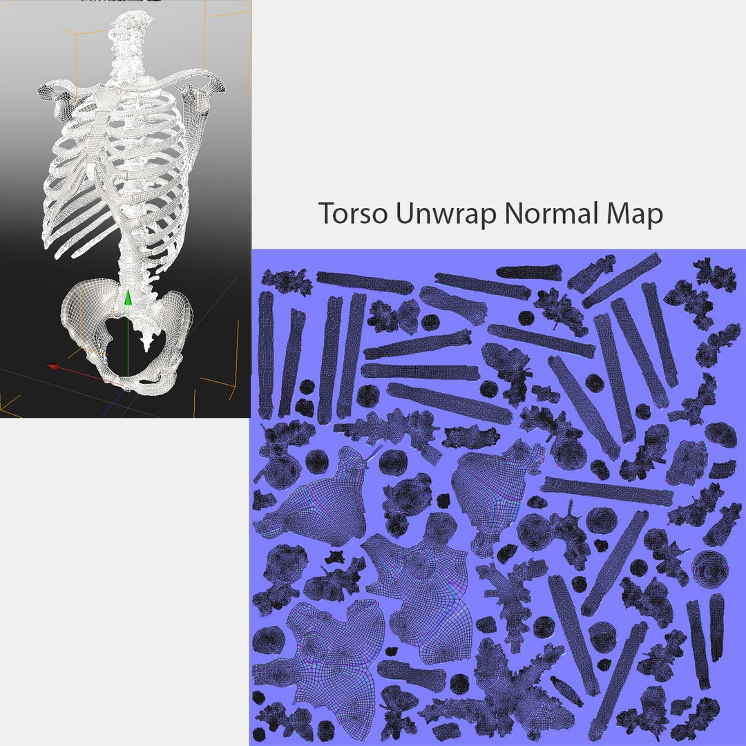 hu spine 3d max https://p.turbosquid.com/ts-thumb/Xm/hcKnRb/PDlY0Hus/21/jpg/1370612777/1920x1080/fit_q87/ccdd09db37153448cc094a2395d38d9743730d3d/21.jpg