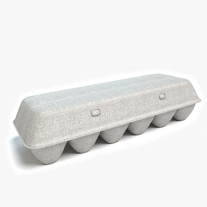 Egg Carton Closed