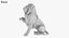 Raised Paw Lion Statue