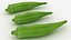Okra