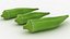 Okra
