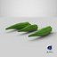Okra