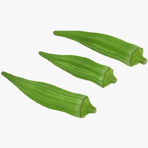 3D okra ready
