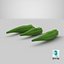 Okra