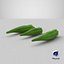 Okra