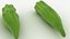 Okra