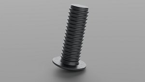 Steel Screw1