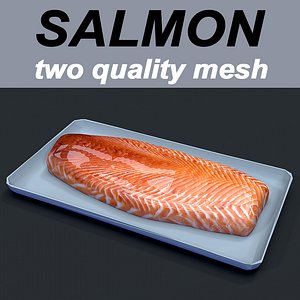 salmon food 3D model